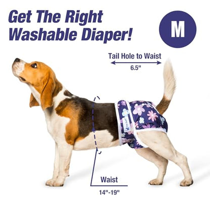 Pet Soft Washable Female Diapers (3 Pack) Female Dog Diapers, Comfort Reusable Doggy Diapers for Girl Dog in Period Heat (Bloom, M) - size: Medium:14''-19''