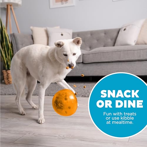 Outward Hound by Planet Dog Snoop Dog Toy – Treat‑Dispenser Puzzle Ball, Interactive Slow Feeder, Medium to Large Dogs, Bouncy & Mint-Infused, Orange, 5" - color: Orange