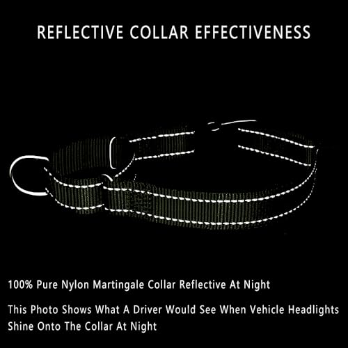 PLUTUS PET Reflective Martingale Collar with Quick Snap Buckle,No Pull Dog Choker Collar for Small Medium Large Dogs,XS,Ranger Green - color: Ranger Green, size: XS：10"-12"