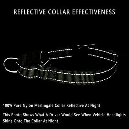 PLUTUS PET Reflective Martingale Collar with Quick Snap Buckle,No Pull Dog Choker Collar for Small Medium Large Dogs,XS,Ranger Green - color: Ranger Green, size: XS：10"-12"