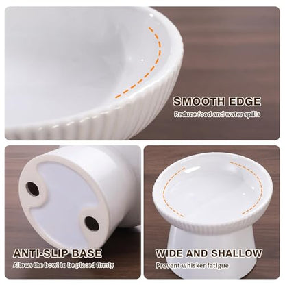 Elevated Cat Food Bowl, Ceramic Raised and Tilted Water Bowl, Whisker Fatigue Cat Bowls for Indoor Cats, Anti Vomiting and Protect Spines Pet Feeding Dishes for Kittens Small Dog, Heavy Non-Slip Base - color: White