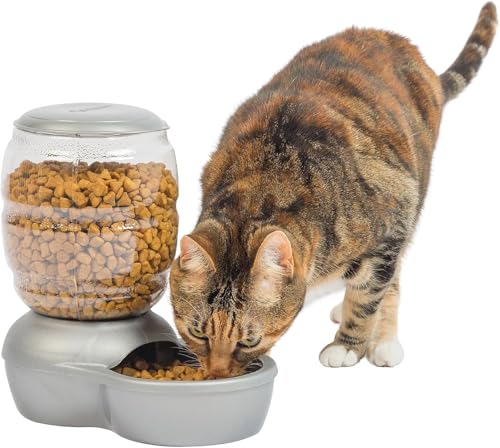 Petmate Replendish Feeder with Automatic Cat and Dog Feeder Grey, 2lb, Made in USA - color: Pearl Silver Grey, size: 2 LB