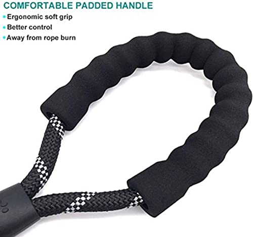 Strong Nylon Dog Leash Rope with Comfortable Padded Handle Training Lead for Medium and Large Breeds Dogs - Heavy Duty 5ft Long - color: Black