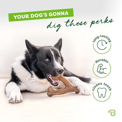 Benebone 2-Pack Wishbone Durable Dog Chew Toy for Aggressive Chewers, Real Bacon Made in USA, Small - size: 2 Pack - Small