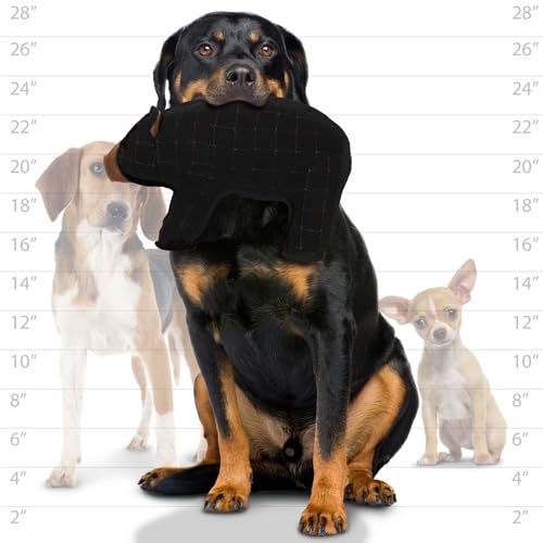 TUFFY - World's Tuffest Soft Dog Toy - Zoo Bear - Squeakers - Multiple Layers. Made Durable, Strong & Tough. Interactive Play (Tug, Toss & Fetch). Machine Washable & Floats - color: Black Bear