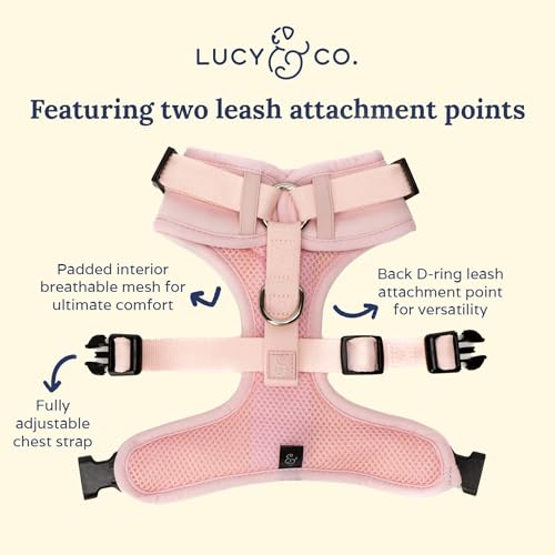 Lucy & Co. The Rosewater No-Pull Dog Harness - Size X-Large - Vest to Stop Pulling & Walk Easy - Comfortable Leash Training Product w/Adjustable Chest & Neck Straps - color: The Rosewater No-Pull Harness, size: X-Large