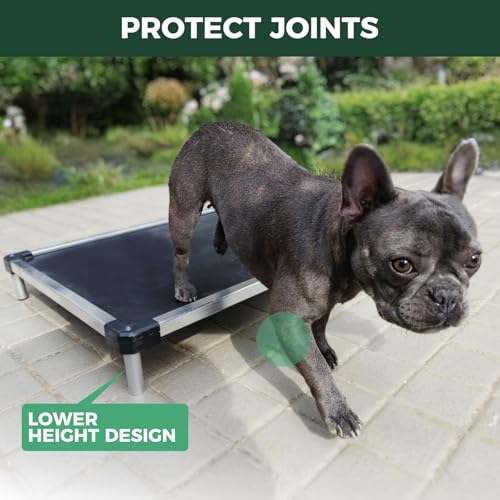 FXW TitanNest Chew-Proof Elevated Dog Bed, Raised Cot for Indoor/Outdoor/Camping Use, Durable & Waterproof Cooling Pet Bed for Small Dogs, 35.0" L x 22.0" W x 4.5" H, Black - size: Small Dog (35.0"L x 22.0"W x 4.5"H)