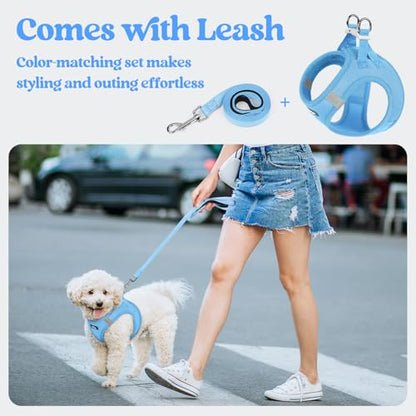 rabbitgoo Dog Harness Small Sized and Leash Set, Step in Soft Light Puppy Vest, Breathable Mesh Pet Harness, Reflective for Safe Easy Walking, Blue XXXS - color: Blue, size: Xxxs (chest: 10.8 - 11.8")