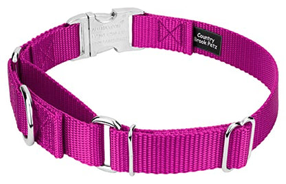 Country Brook Petz - Martingale Dog Collar - Heavy Duty Nylon Adjustable Martingale Dog Collar with Premium Buckle for Small Medium Large Breeds (5/8 Inch, Extra Small, Fuchsia) - color: Fuchsia, size: Extra Small (Pack of 1)