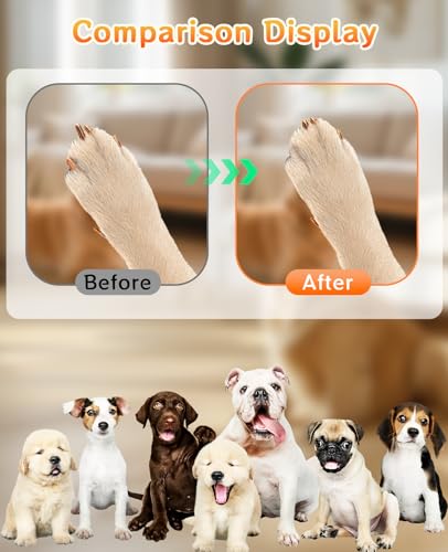 9PCS Dog Nail File Set, Filer Board Scratch with 8PCS Replaceable Filing Discs for Safe and Easy Nail Care
