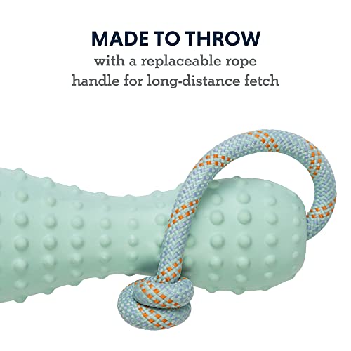 Ruffwear, Gourdo Natural Rubber Throw Toy for Dogs with Rope Handle, Sage Green, Large - color: Sage Green, size: Large