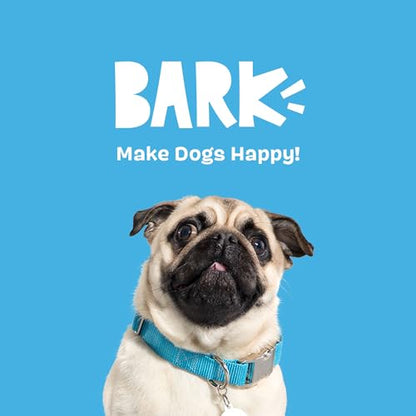 BarkBox Santiago Seal Dog Toy | Plush Rip & Reveal Toy with Hidden Surprise Inside & Squeaker | Discover & Squeak Toy for Small to Medium Dogs - color: Santiago Seal