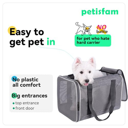 Soft Pet Carrier Bag for Cats and Puppy Under 20 lbs. Sturdy, Safe, Comfortable and Lightweight - color: Grey