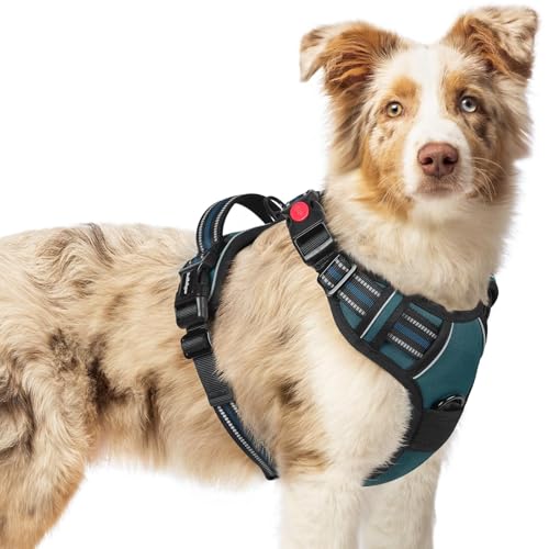 rabbitgoo Dog Harness Medium Sized, No Pull Easy On & Off with 3 Buckles Pet Harness, Adjustable Soft Walking Vest with 2 Clips and Handle, Reflective for Medium Dogs, Blue Coral, M - color: Blue Coral, size: Medium