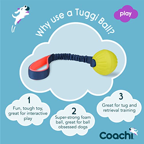 Coachi Tuggi Ball - Interactive Dog Toy for Tug of War & Play. Strong & Comfortable, Stretchy Bungee Handle with Foam Ball, Ideal for Agility and Reward Training, Interrupting Biting & Chewing - style: Tuggi Ball