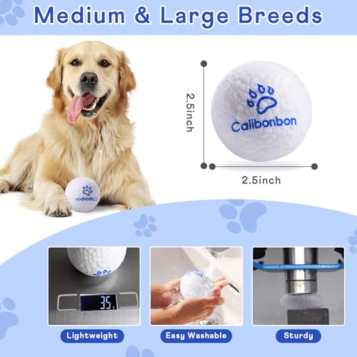 Durable Dog Herding Balls – ETPU Interactive Bouncy Fetch Balls for Small & Medium Dogs – Lightweight, High-Rebound Dog Toys for Puppies - color: 2 Balls