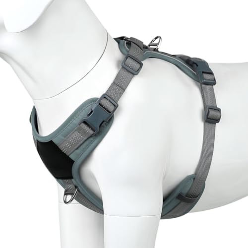 Plutus Pet No Pull Dog Harness, Release at Neck, Soft Padded, Reflective Adjustable Dog Vest Harness for Small, Medium, Large Dogs(Gray, S) - color: Gray, size: S