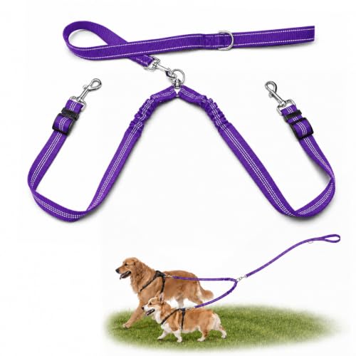 Double Dog Leash for Two Dogs, Complete Set with 31.5" Main Leash + Adjustable Splitter, Padded Handle, D-Ring, 360° Swivel, Shock-Absorbing Bungee, Reflective for Small Medium Large Dogs (Purple) - color: Purple