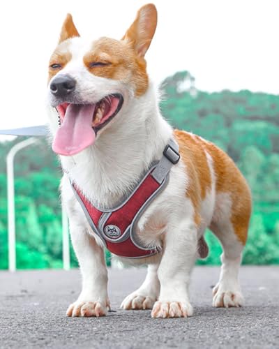 Small Dog Harness and Leash Set,No Pull Adjustable Step in Soft Mesh Vest Harness,Easy Walk Reflective Pet Harness with Padded Handle for Walking Training Small Medium Large Dogs and Cats (Red, S) - color: Red, size: S