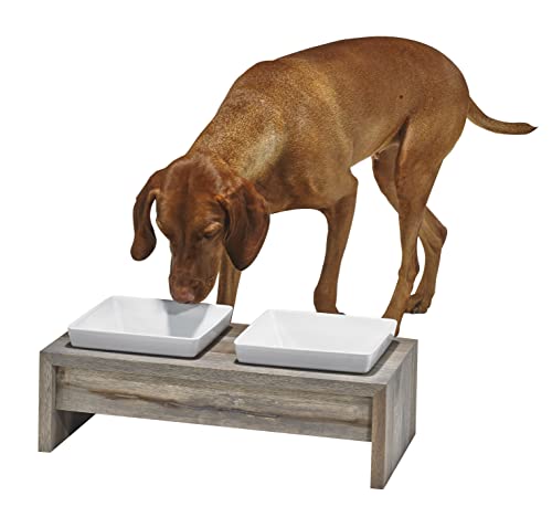 Bowsers Artisan Diner Double Dog Feeder - Handcrafted Rubberwood Frame with Square Ceramic Bowls Feeder for Dogs - Fossil, Small, 15" x 7" x 4" - color: Fossil, size: Small