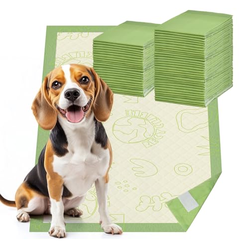 Dog Pee Pads with Adhesive Strips 50Count, 19"X30" Extra Large Disposable Pee Pads for Dogs, Non-Slip Puppy Training Pads for Crate/Cage/Carrier - size: 19" x 30" (50 Ct)