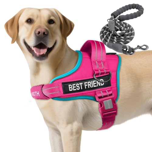 AUROTH Dog Harness and Leash Set, Soft Padded Service Dog Vest with 5.25FT Dog Leash, No Choke, Easy On Pet Vest, Adjustable Reflective No Pull Dog Harness for Large Dogs, Easy Walking and Training - color: Rose Red, size: Large
