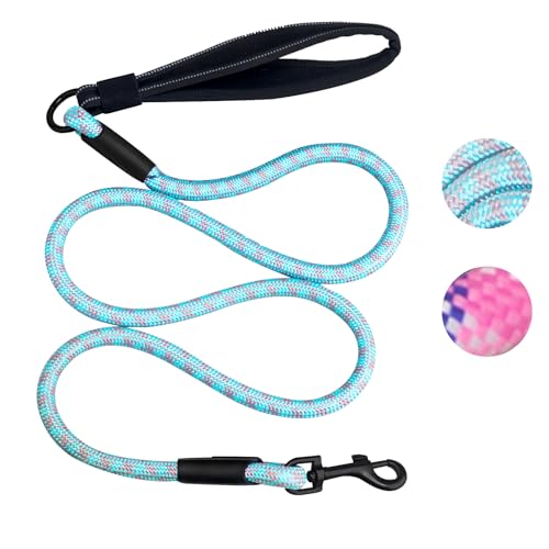5 ft Dog Leash with Padded Handle, Tangle-Free Rope Leashes for Small Medium Large Dogs, Training Lead Heavy Duty, Blue