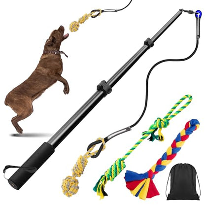 Ycozy Flirt Pole for Dogs Heavy Duty Interactive Toys Tug of War with Detachable 3 Replacement Rope Toys for Chase and Outdoor Exercise & Training for Small Medium Large Dogs (Pole - 40.6")