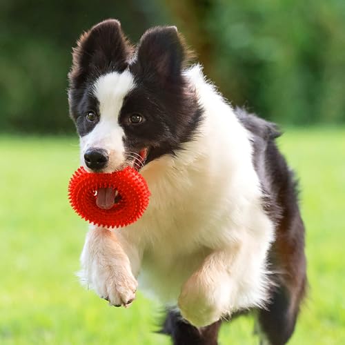Dog Toys Squeaky - Spiky Ring for Chewers Dog Teething Toy with Rope, Squeaky Puppy Teething Spikey Glitter Ring Chew Toy, Aggressive Chew Indestructible for Puppy Teething Boredom Relief (Red) - color: Red