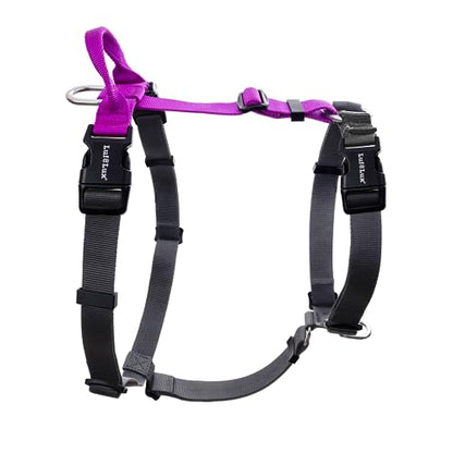 Non-Restrictive Large Dog Harness, Easy Walk Freedom No Pull Harness, Keep Balance, Neck-Buckle, Every Part is Adjustable, Back and Front Leash Clips, Purple/Black - color: Purple/Black, size: L