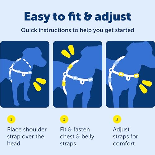 PetSafe Easy Walk Deluxe Dog Harness, No Pull Dog Harness – Perfect for Leash & Harness Training – Stops Pets from Pulling and Choking on Walks – Medium/Large, Ocean - color: Ocean, size: Medium/Large