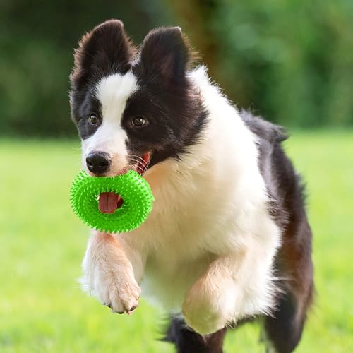 Dog Toys Squeaky - Spiky Ring for Chewers Dog Teething Toy with Rope, Squeaky Puppy Teething Spikey Glitter Ring Chew Toy, Aggressive Chew Indestructible for Puppy Teething Boredom Relief (Green) - color: Green