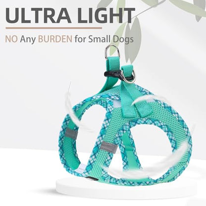 PUPTECK Dog Harness and Leash Set for Small Medium Dogs No Pull Step-in Soft Mesh Puppy Cat Vest Harnesses Reflective at Night, Green L - color: #1 Green(Basic Mesh), size: L(CHEST 18"-20", 16.5-22 lbs)