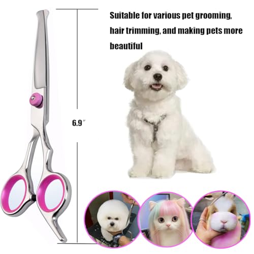 Dog Grooming Scissors, Stainless Steel Dogs Cats Pets Grooming Shears - style: Round head straight scissors