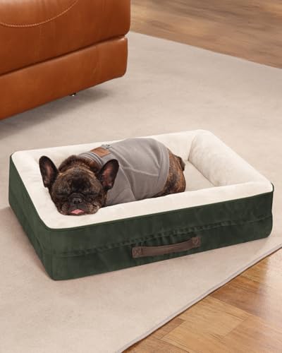 Upvilla Orthopedic Dog Bed, Four-Sided Cushioned Egg-Shaped Foam Dog Sofa, Waterproof Removable Cover, Cat Bed with Non-Slip Base, Small Pet Bed,Green - color: Green, size: 24"l x 18"w x 6"th
