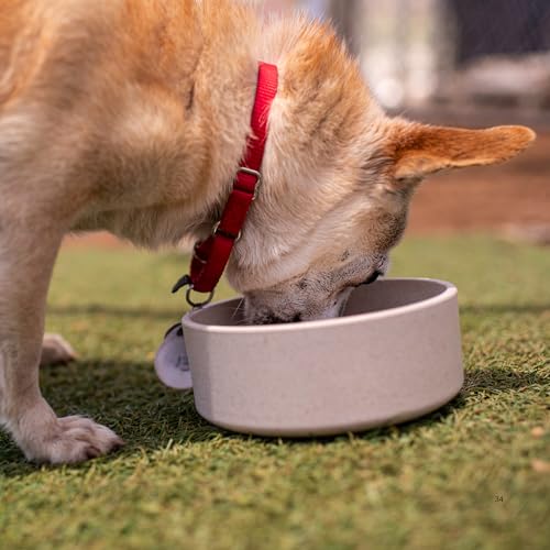 Loving Pets - Dolce Bamboo - Eco-Friendly Pet Bowls & Dishes for Dog, Cats, Puppy Food and Water Dish -Sustainable and Dishwasher Safe, Made with Real Bamboo (Large, Oat-Beige) - color: Oat Beige, size: Large Dish