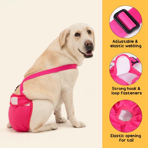 3 Pack Avont Washable Female Dog Diaper with Suspender, Reusable Girl Doggie Diapers for Small Medium Large Doggy in Heat Cycle Period Incontinence -M - color: Black/Pink/Purple, size: M