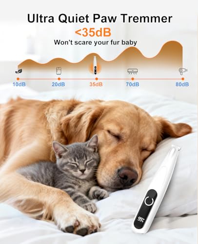 IREDOON 2026 New Pet Precision Trimmer, 35dB Low-Noise Dog Paw Trimmer with LED Light, Safe Curved Ceramic Blade Electric Pet Paw Grooming Kit for Dogs & Cats Paw, Ear, Face, Butt, Eyebrows