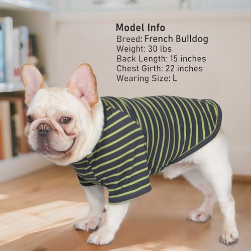 KYEESE 3Pack Dog Sweater, Soft Puppy Sweatshirt Stretchy Pullover Dog Sweater for Small Dogs Girl Boy, Fleece Lightweight Cat Shirt Pet Clothes with Sleeves, M - color: 09# Green, size: Medium (8.5-13lbs)