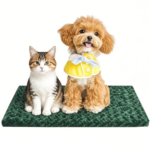 Dog Bed Mat – Soft & Comfortable Dog Kennel Pad for Crate – Durable Crate Bed & Mat for Dogs & Cats – Ideal for Crate, Kennel, and Home Use - color: Forest Green, size: S(24"*18"*1.5")