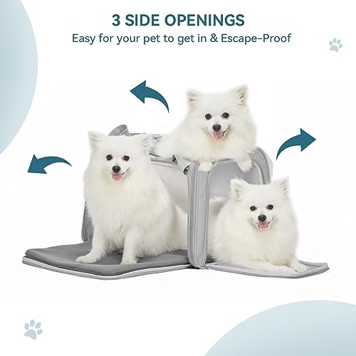 PETSFIT Dog Carrier Cat Carriers for Puppies, Medium Cats up to 25Lbs, Travel Soft Sided Pet Carrier (Large, Grey) - color: New Grey, size: Large