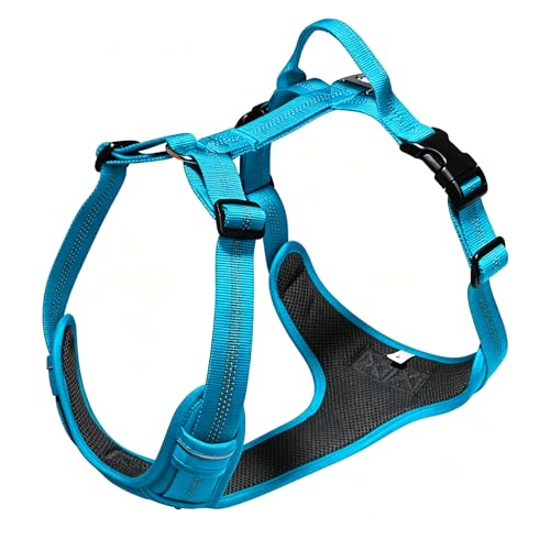 No Pull Dog Harness, Adjustable Vest with Front & Back Metal Leash Clips, Reflective for Safe Night Walks, Traffic Handle & Seatbelt Compatible, Breathable Padded Harness, Blue, XL - color: Blue, size: XL