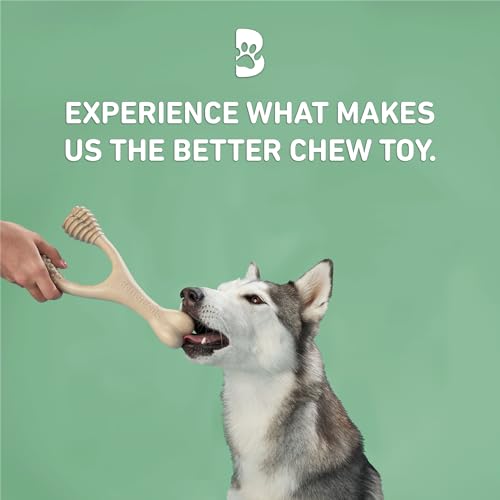BetterBone - Medium Density - Ideal for Moderate to Strong Chewers - All-Natural, Nylon-Free Dog Chew Toys - Non-Toxic, Promotes Dental Health, Splinter-Resistant, Sustainably Made - size: Large