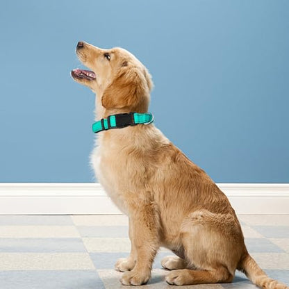 Reflective Dog Collar, Adjustable Soft Neoprene Padded Nylon Pet Collars with Buckle for Puppy and Small Dogs, Cats, Teal,XS - color: Teal, size: X-Small