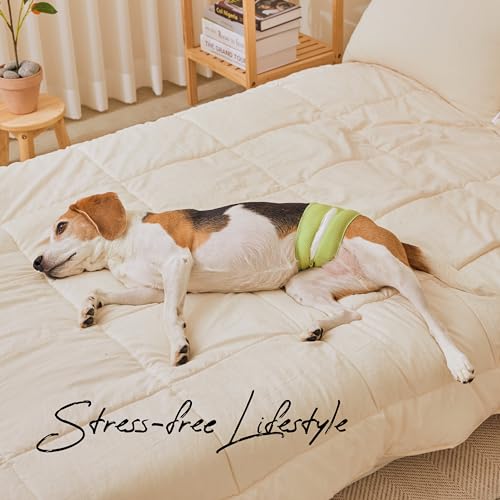 WICKEDPUP Male Dog Belly Band Kit, 50 Diaper Pads & 1 Reusable Male Wrap (Size 2 (17.5"-21.5" Waist)) - size: Size 2 (17.5"-21.5" Waist)