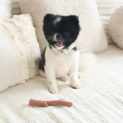 SPOT Bam-Bones Plus Branch -Bamboo Fiber & Nylon, Durable Long Lasting Dog Chew for Aggressive Chewers – Great Toy for Adult Dogs & Teething Puppies Under 60lbs, Non-Splintering, 5.75in, Beef Flavor - size: 5.75 inch (Pack of 1)