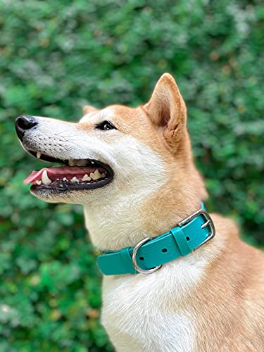 Tuff Pupper Classic Heavy Duty Dog Collar | 10x Stronger Than Leather | 100% Waterproof & Odor Proof Dog Collar | Tough Rust-Proof All Metal Hardware - color: Tropical Teal