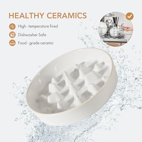Havniva 1.6 Cup Elevated Slow Feeder Dog Bowls, 8.2” Dog Slow Feeding Bowls + 7.3” Ceramic Dog Water Bowls Set with Acacia Wood Stand Dog Food Bowls Puzzle Feeder for Medium Dogs Non-Slip Anti-choking - color: 2 x White + Stand - C, size: L- 8.2inch / 1.6