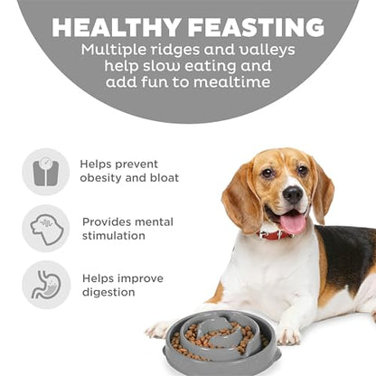 Outward Hound Fun Feeder Slo Bowl – Medium 2‑Cup Capacity, Slow Feeding, Small to Medium Dogs & Cats, Non-Slip, Gray, Drop Pattern - color: Gray, size: Medium