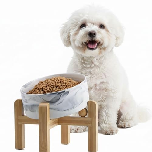 hjn Elevated Ceramic Dog Bowl 15°Slanted Raised Dog Bowl with Bamboo Stand for Small Medium Dogs and Cats, Pet Feeder -3.6-Cup (850ml)-Marble Gray - color: Marble Gray, size: 3.6Cup